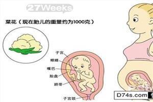 做b超需要空腹吗